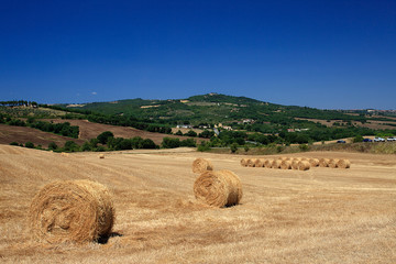Fototapeta premium Val d'Orcia, campo arato con balle di fieno