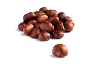 Chestnut selective focus on white background