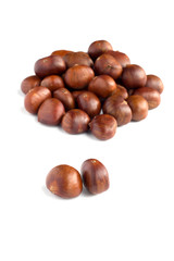 Chestnut selective focus on white background