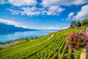 Beautiful Lavaux wine region at Lake Geneva, Canton of Vaud, Switzerland - obrazy, fototapety, plakaty