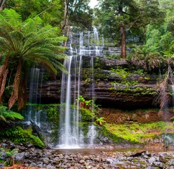 Fotobehang De Russell Falls, een gelaagde waterval aan de Russell Falls Creek. Tasmanië, Australië © Yevgen Belich