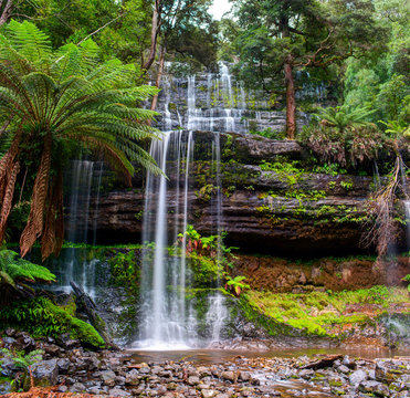 Fototapeta Wodospad Russell, kaskadowy wodospad na Russell Falls Creek, Tasmania, Australia