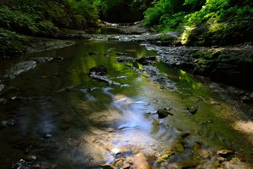 千葉県梅が瀬渓谷