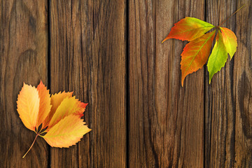 Naklejka na ściany i meble Herbst
