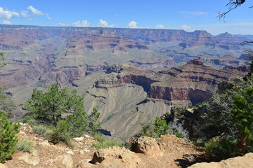 Fototapeta na wymiar The Grand Canyon National park in Arizona in late summer
