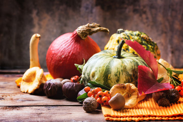 Pumpkins, nuts and berries
