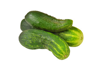 Fresh green cucumber gherkin, isolated on a white background