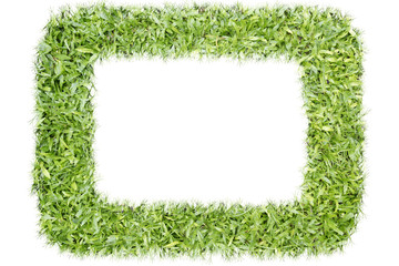 Grass frame