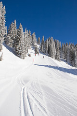 Winter in alps