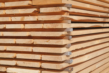 Fresh wooden studs