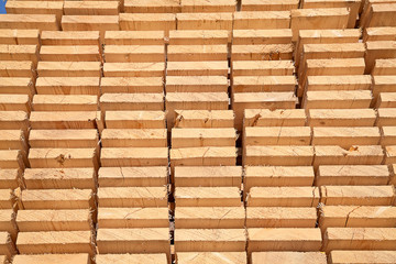 Fresh wooden studs