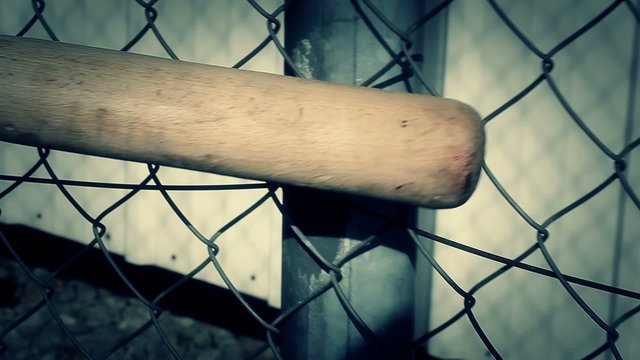 Baseball bat with focus on wire fence