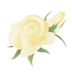 Floral background with yellow roses.