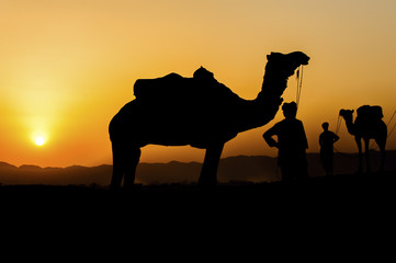 Silhouette of the Camel Trader across the sand dune during sunse