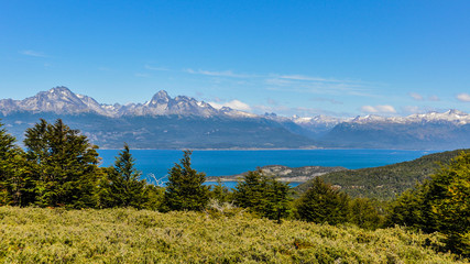 Tierra del Fuego National Park, Ushuaia, Argentina