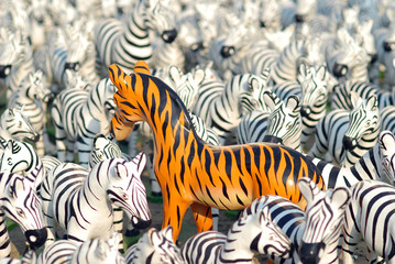 zebra doll for redeem a vow to a god