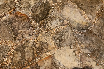 skin wood texture and small plant