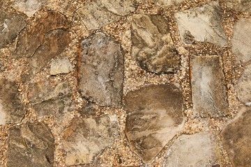 skin wood texture and small plant