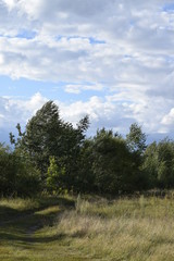 Obraz premium луга у Волги