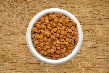 Dry cat food in plate over wooden texture