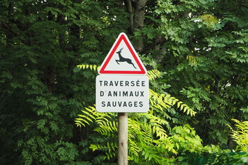 Panneau Travers&eacute;e d'animaux sauvages