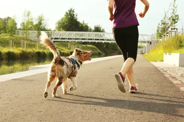 Papier Peint photo Lavable Jogging Jogger avec chien