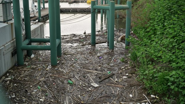 4K Debris on the River 4327
