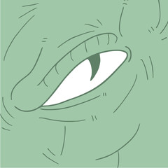 reptile eyewe
