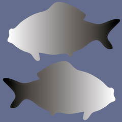 silhouettes of two fishes