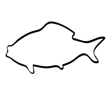 recommend clip art: Contour of a fish