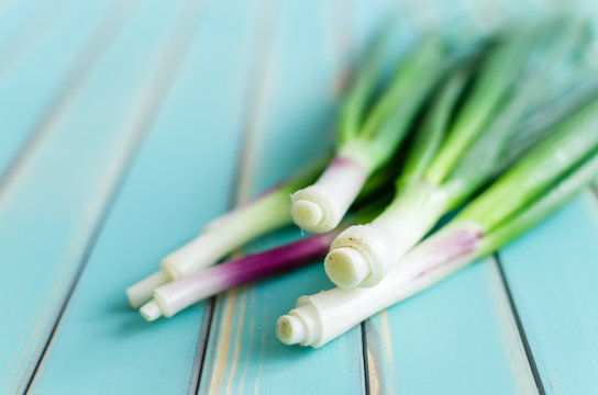A bunch of fresh green spring onions on rustic wooden turquoise
