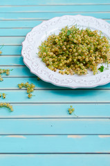 Fresh white currant on plate on rustic wooden turquoise background