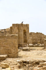 Fototapeta premium ruins of ancient Paphos on the island of Crete