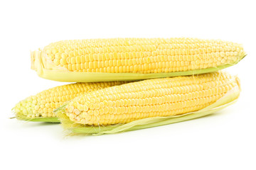 Corns isolated on a white