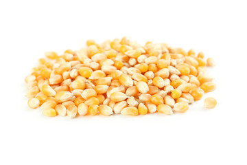 Dried corn grains isolated on white