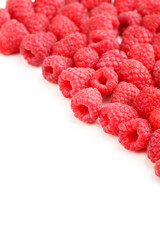 Red raspberry on a white background