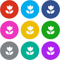 Flat Multicolor App Icon