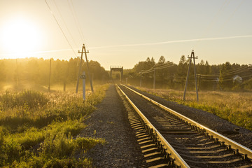 Railway in nature at sunset
