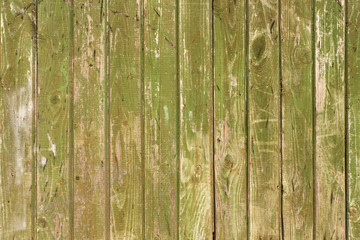 Old painted bright green texture background