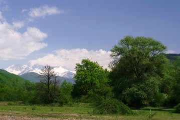 Georgia mountains in summer time