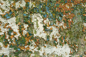 Bright colorful painted concrete closeup. weathered textured background. urban backdrop
