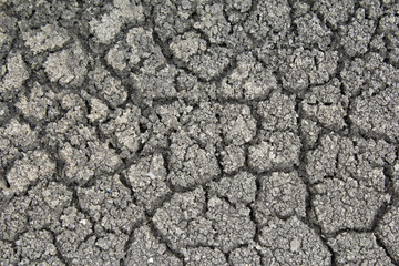 dry soil texture background