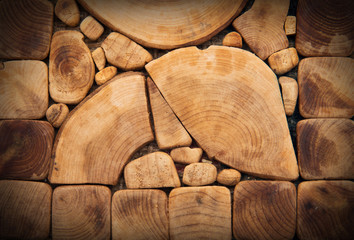 Wood texture of cut tree trunk, close-up