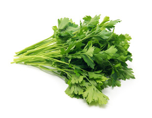 Fresh parsley on white background