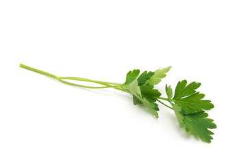 Parsley isolated on white
