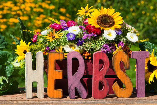 Herbstblumen