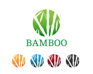 Bamboo