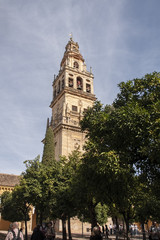 Fototapeta na wymiar Patio de la mezquita catedral de Córdoba, Andalucía