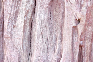 Texture of Wood background closeup.
