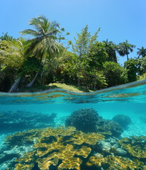 Fototapeta na wymiar Split image tropical shore and corals underwater
